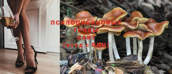 герыч Беломорск