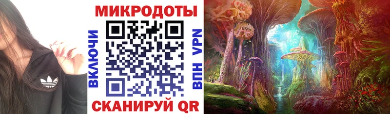 Псилоцибиновые грибы Psilocybe  Верещагино 